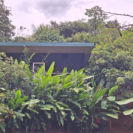 Cabinas Fave Uvita Luaran gambar