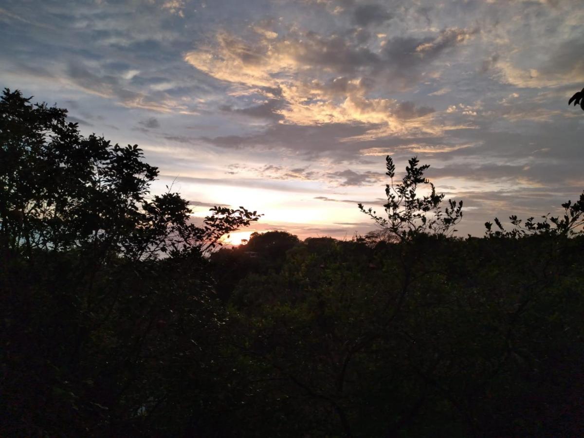 Cabinas Fave Uvita Luaran gambar