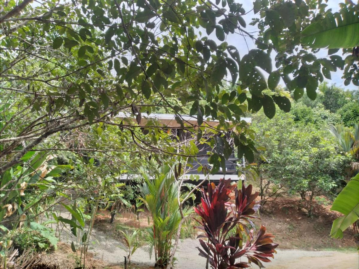 Cabinas Fave Uvita Luaran gambar