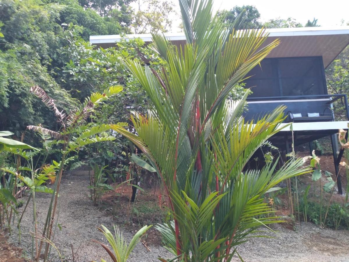 Cabinas Fave Uvita Luaran gambar