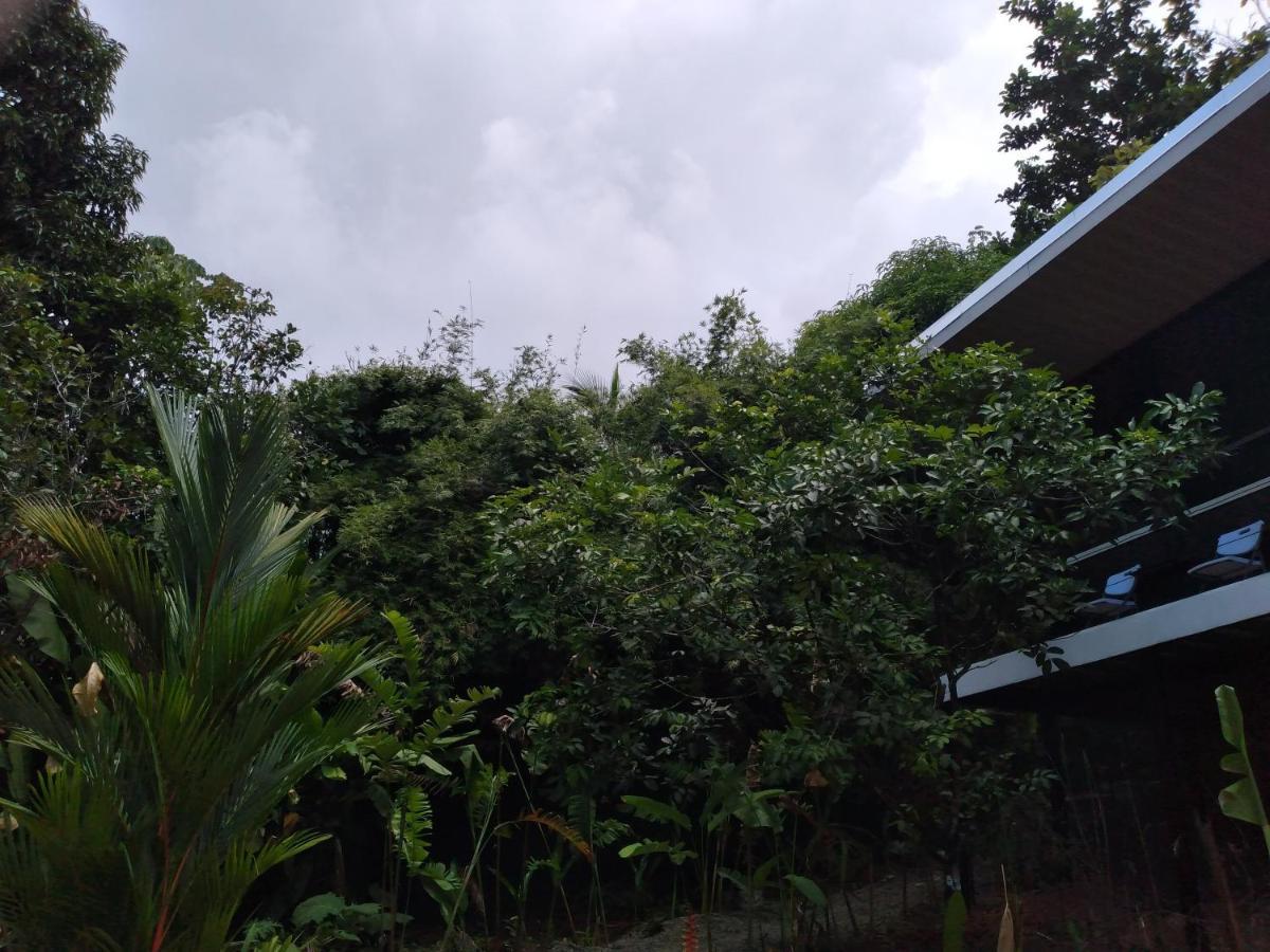 Cabinas Fave Uvita Luaran gambar