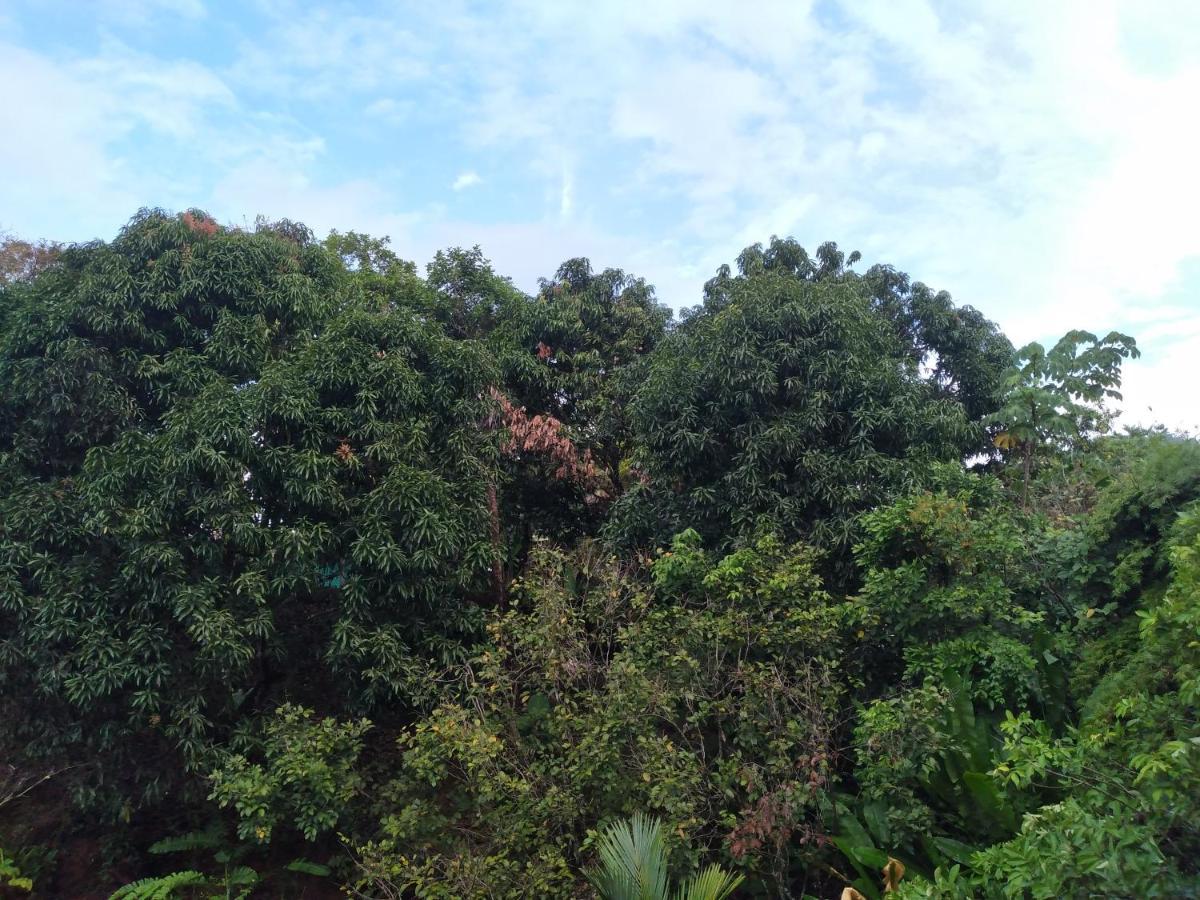Cabinas Fave Uvita Luaran gambar