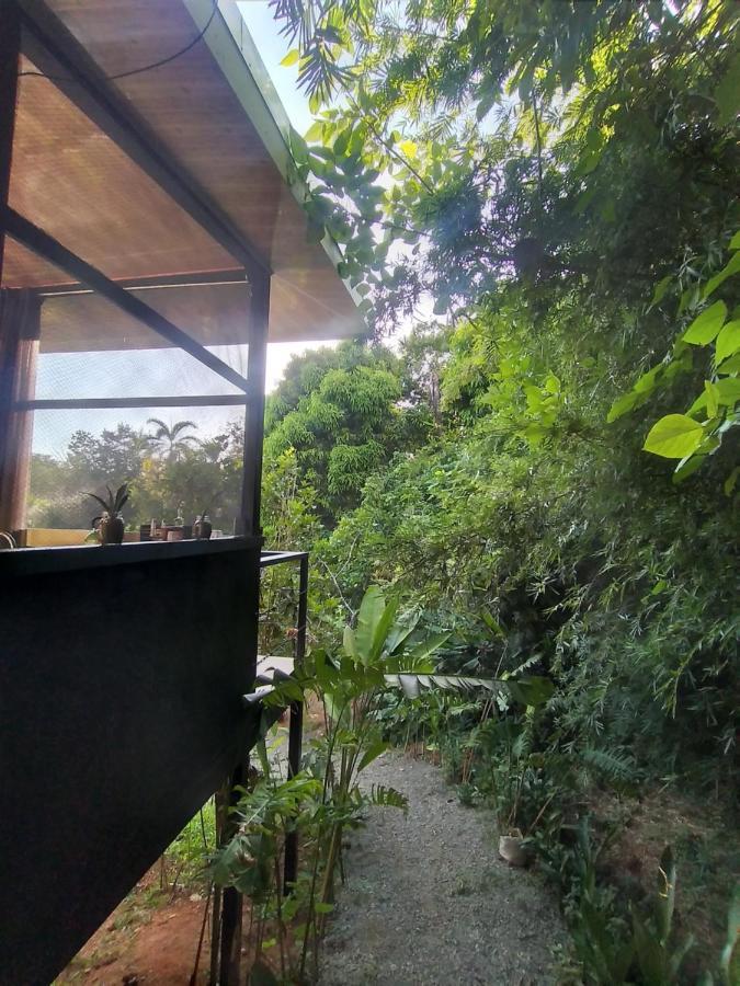 Cabinas Fave Uvita Luaran gambar