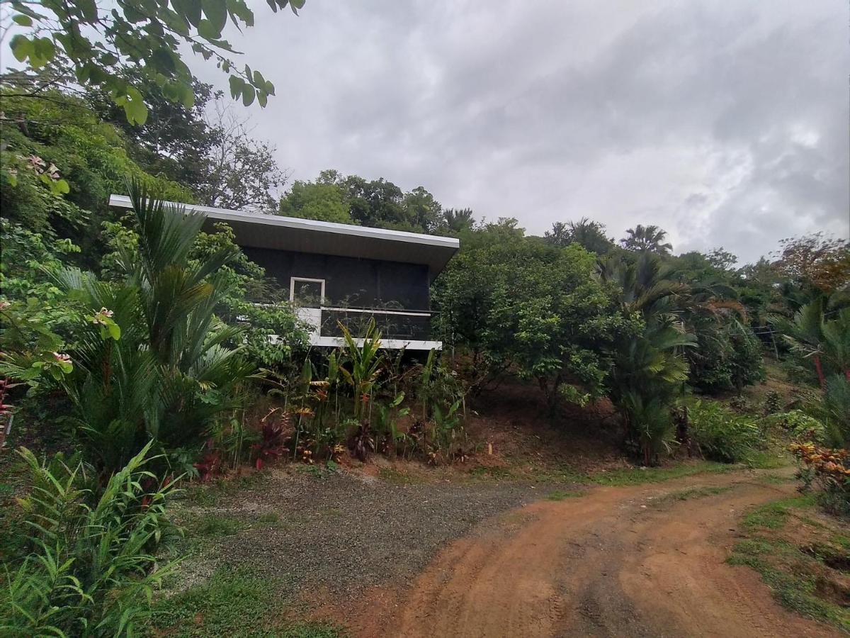 Cabinas Fave Uvita Luaran gambar