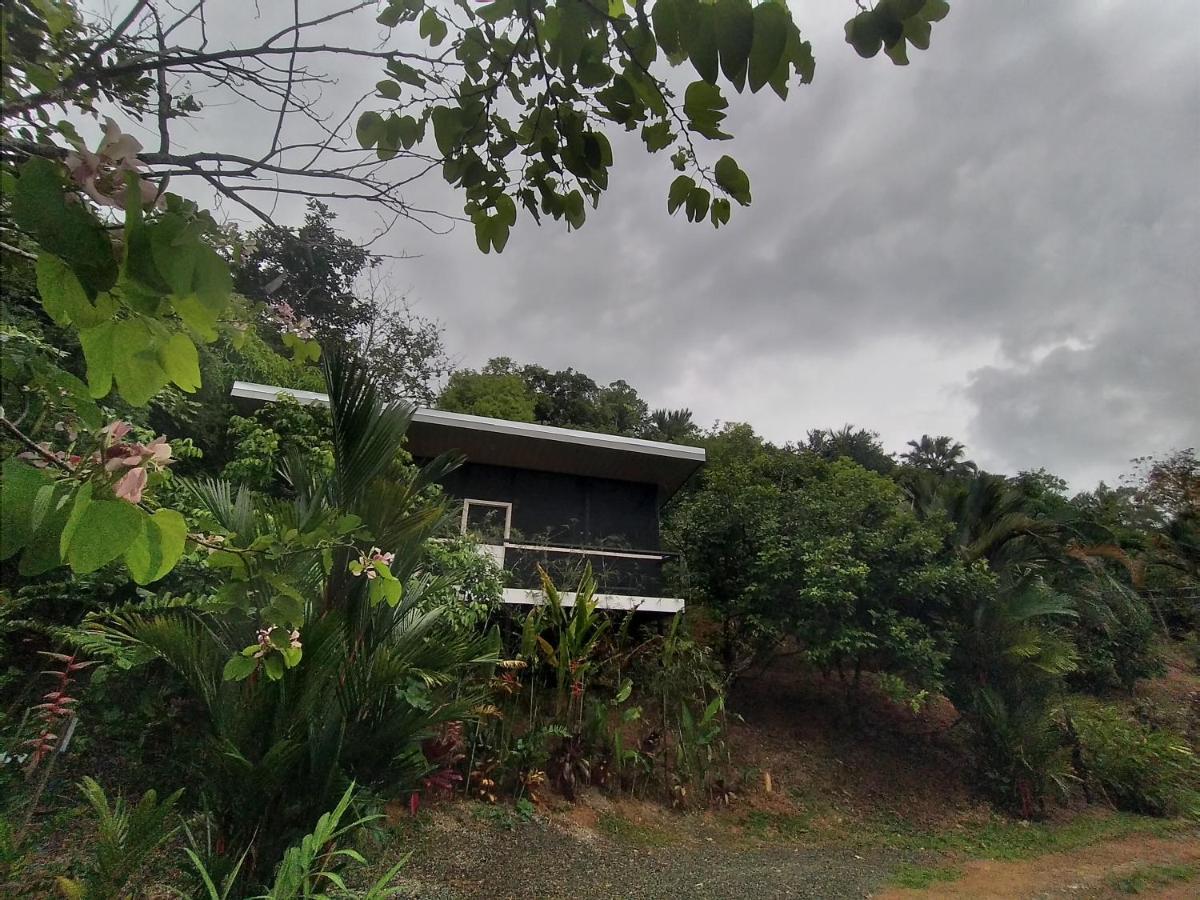 Cabinas Fave Uvita Luaran gambar