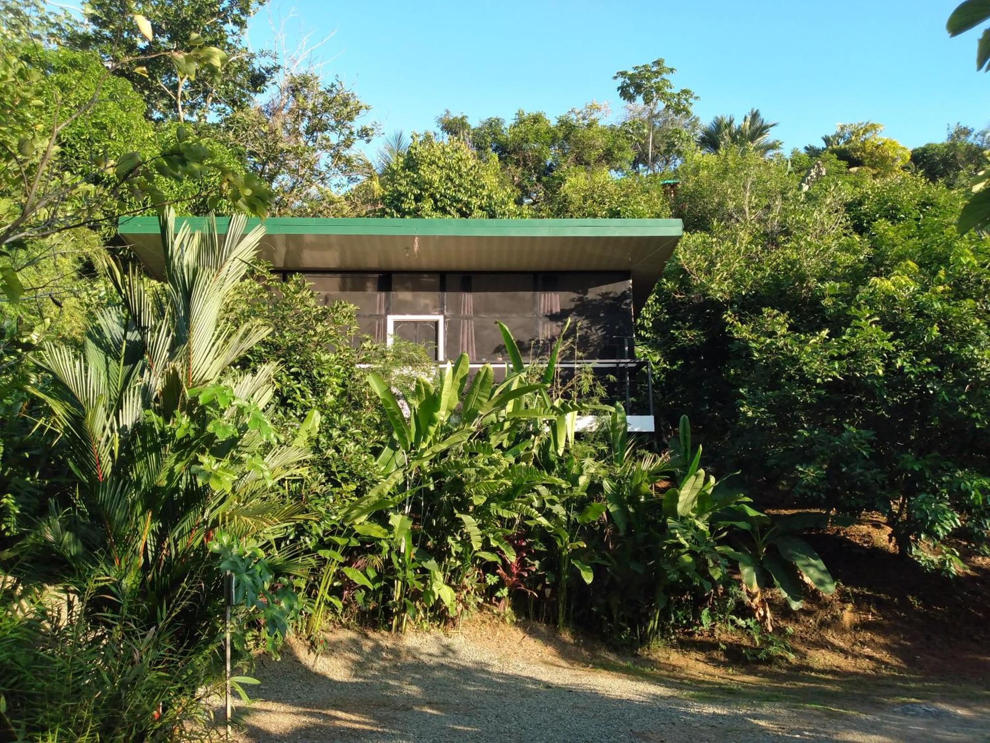 Cabinas Fave Uvita Luaran gambar