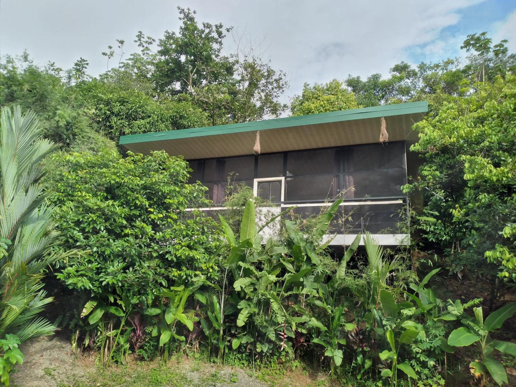 Cabinas Fave Uvita Luaran gambar
