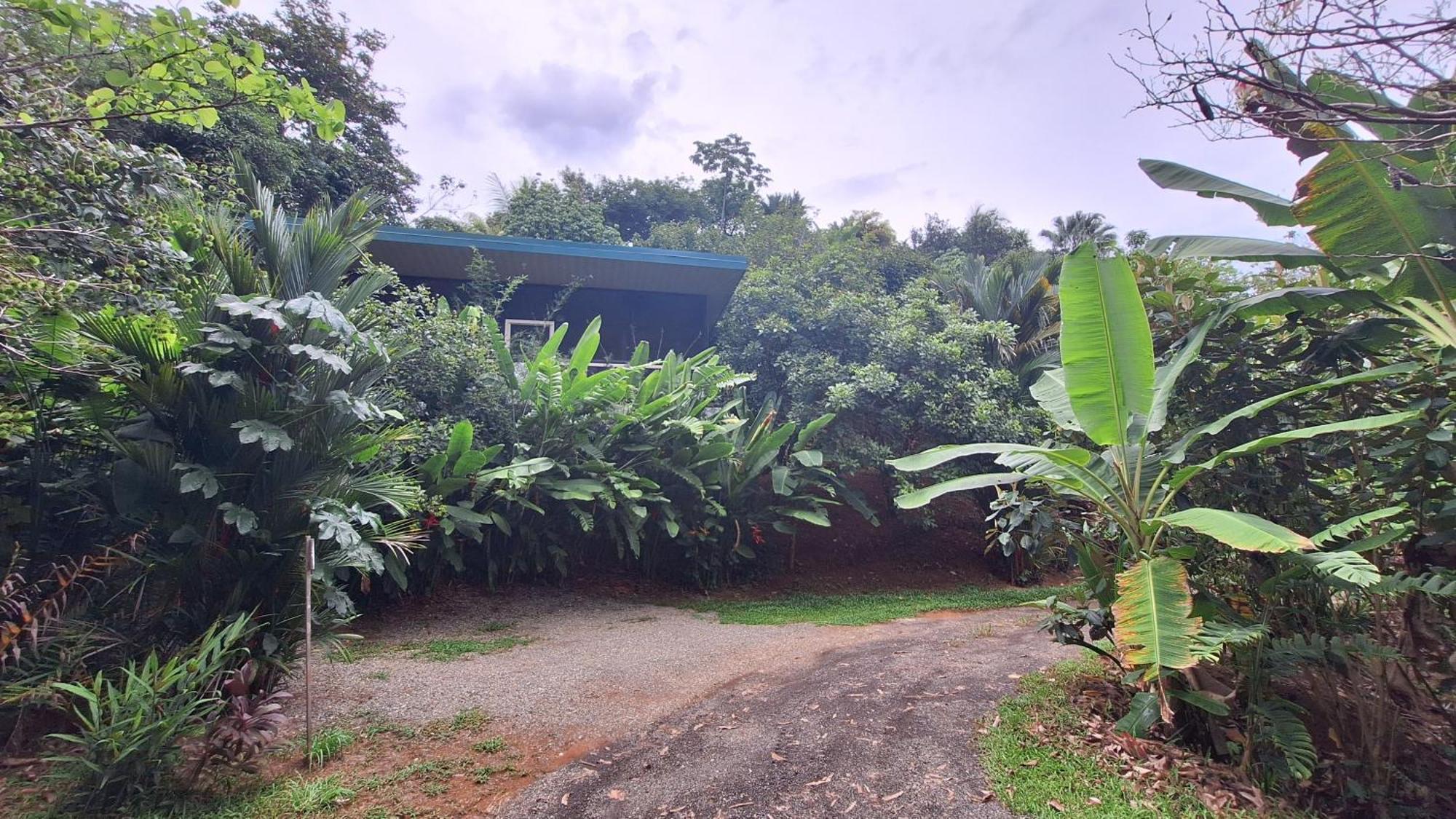 Cabinas Fave Uvita Luaran gambar