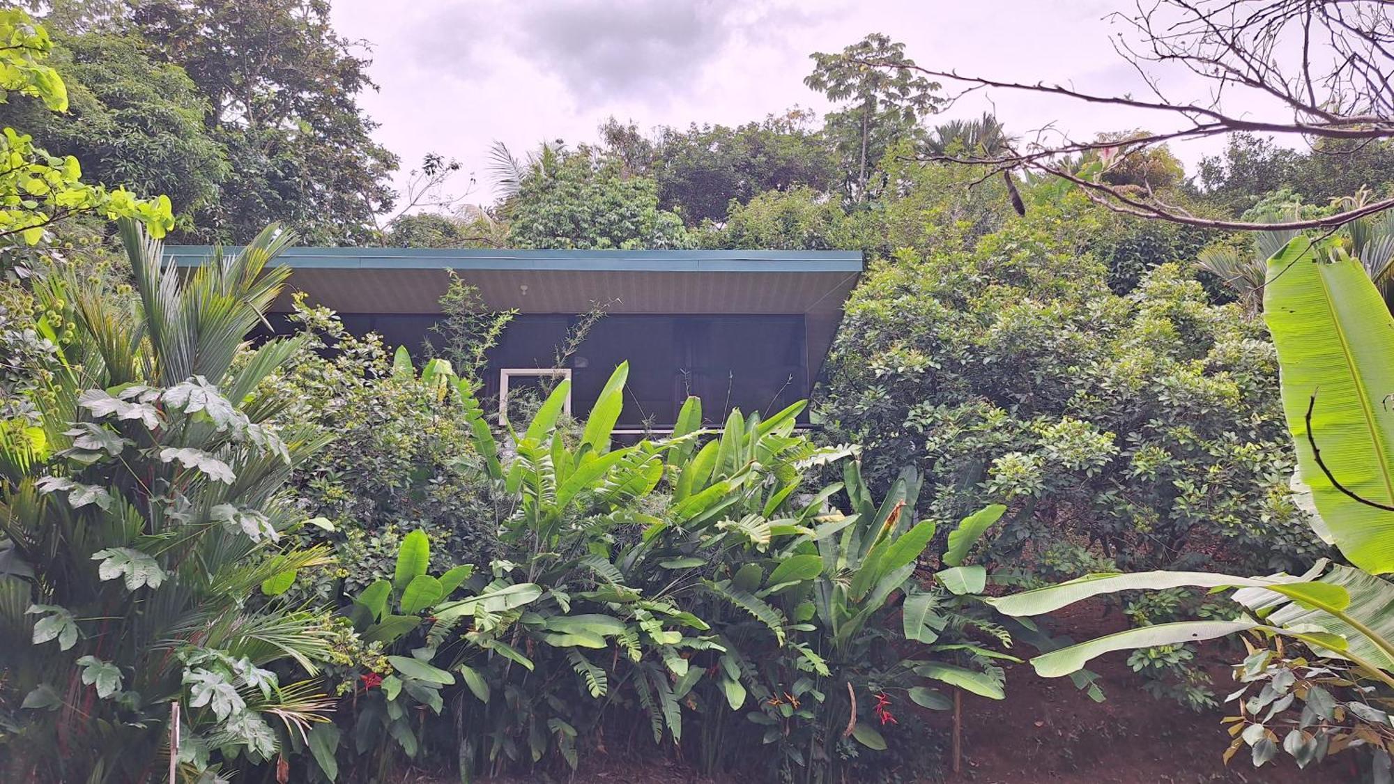 Cabinas Fave Uvita Luaran gambar