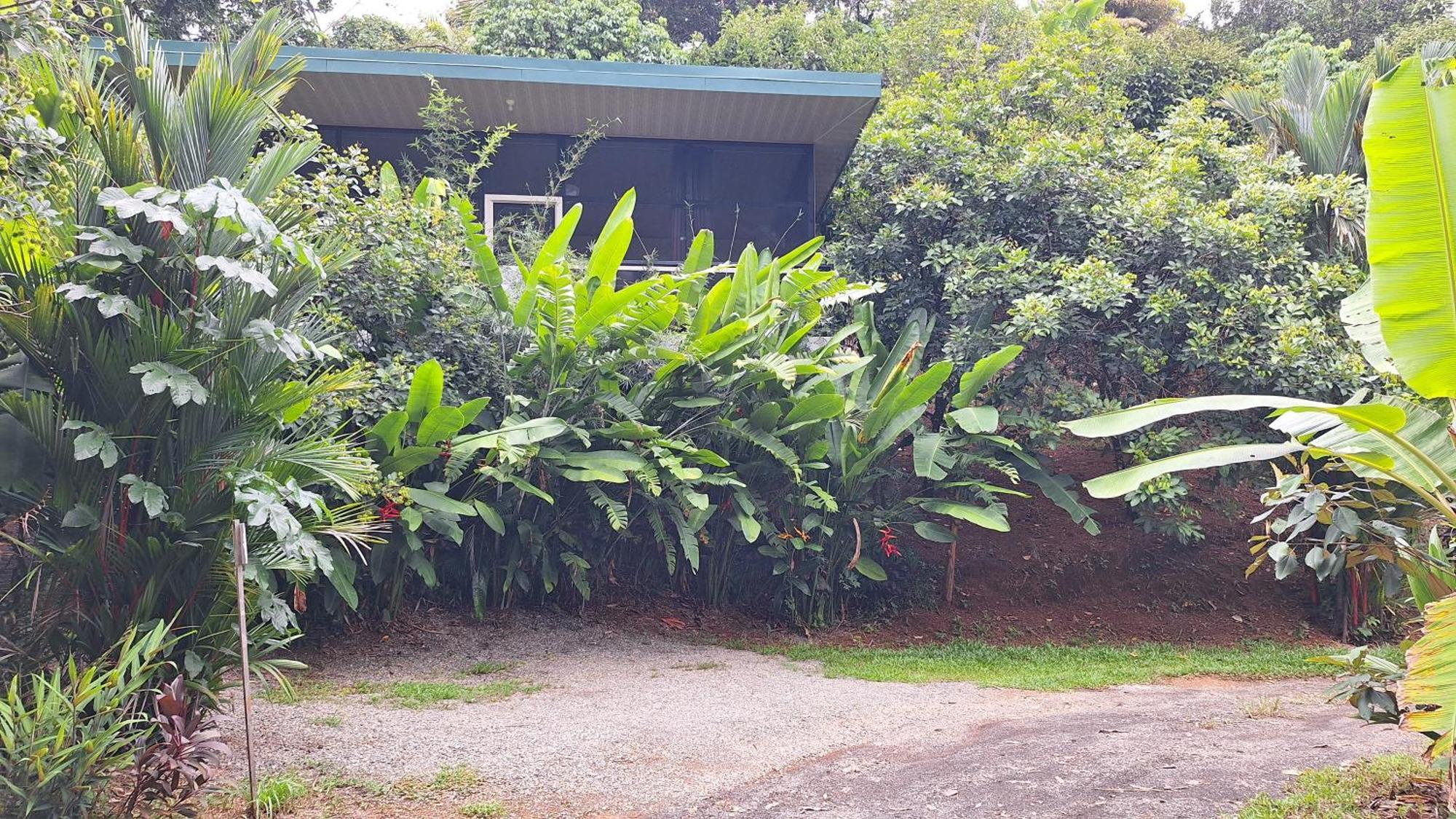 Cabinas Fave Uvita Luaran gambar